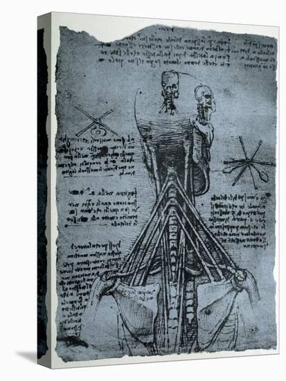 Bone Structure of the Human Neck and Shoulder, Facsimile Copy-Leonardo da Vinci-Stretched Canvas