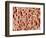 Bone tissue of a hen magnified x25-Micro Discovery-Framed Photographic Print