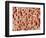 Bone tissue of a hen magnified x25-Micro Discovery-Framed Photographic Print