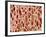 Bone tissue of a hen magnified x25-Micro Discovery-Framed Photographic Print