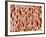 Bone tissue of a hen magnified x25-Micro Discovery-Framed Photographic Print