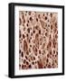 Bone Tissue-Micro Discovery-Framed Photographic Print