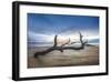 Bones Beach-Celebrate Life Gallery-Framed Giclee Print