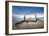 Bones Beach-Celebrate Life Gallery-Framed Giclee Print