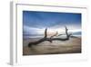 Bones Beach-Celebrate Life Gallery-Framed Giclee Print