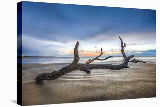 Bones Beach-Celebrate Life Gallery-Stretched Canvas