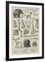 Bones of Extinct Animals Found at Charing-Cross-null-Framed Giclee Print