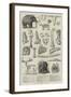 Bones of Extinct Animals Found at Charing-Cross-null-Framed Giclee Print