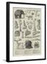 Bones of Extinct Animals Found at Charing-Cross-null-Framed Giclee Print