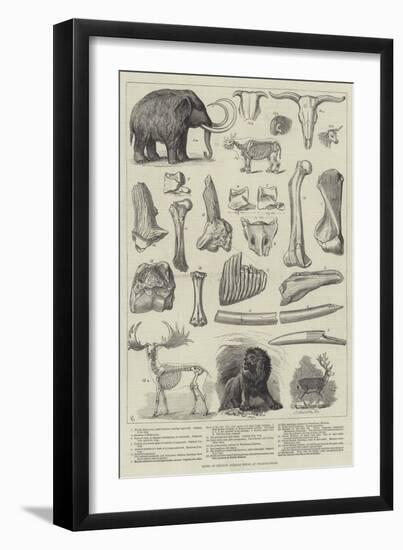 Bones of Extinct Animals Found at Charing-Cross-null-Framed Giclee Print