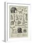 Bones of Extinct Animals Found at Charing-Cross-null-Framed Giclee Print