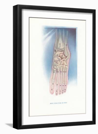 Bones of the Foot-null-Framed Art Print