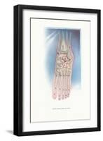 Bones of the Foot-Found Image Press-Framed Giclee Print