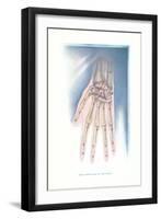 Bones of the Hand-null-Framed Art Print