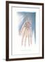 Bones of the Hand-null-Framed Art Print