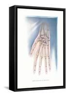 Bones of the Hand-Found Image Press-Framed Stretched Canvas