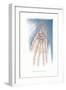 Bones of the Hand-Found Image Press-Framed Giclee Print