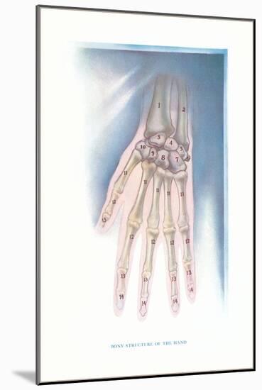 Bones of the Hand-Found Image Press-Mounted Giclee Print