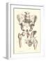 Bones of the Pelvis, Lower Spine, and Upper Leg-Found Image Press-Framed Premium Giclee Print