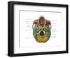 Bones of the Skull (Inferior)-Evan Oto-Framed Art Print