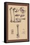 Bones with Tools-Andreas Vesalius-Framed Stretched Canvas