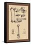 Bones with Tools-Andreas Vesalius-Framed Stretched Canvas