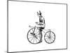 'Boneshaker' Bicycle, C1870-null-Mounted Giclee Print