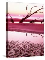 Boneyard Beach on Wassaw Island-James Randklev-Stretched Canvas
