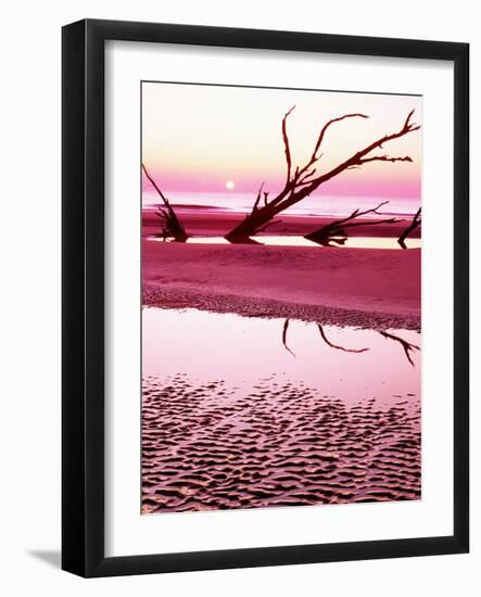 Boneyard Beach on Wassaw Island-James Randklev-Framed Photographic Print