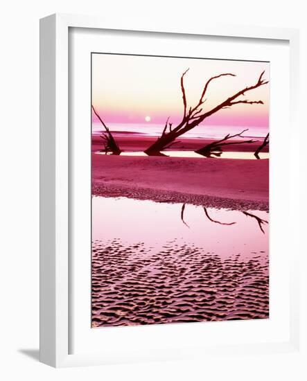 Boneyard Beach on Wassaw Island-James Randklev-Framed Photographic Print