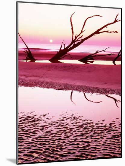 Boneyard Beach on Wassaw Island-James Randklev-Mounted Photographic Print