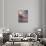 Boneyard-Steven Maxx-Photographic Print displayed on a wall