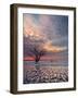 Boneyard-Steven Maxx-Framed Premium Photographic Print