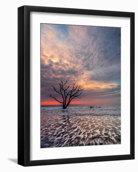 Boneyard-Steven Maxx-Framed Premium Photographic Print