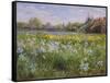 Bonfire and Iris Field, 1993-Timothy Easton-Framed Stretched Canvas