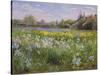 Bonfire and Iris Field, 1993-Timothy Easton-Stretched Canvas
