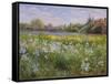 Bonfire and Iris Field, 1993-Timothy Easton-Framed Stretched Canvas