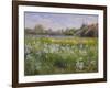 Bonfire and Iris Field, 1993-Timothy Easton-Framed Giclee Print