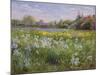 Bonfire and Iris Field, 1993-Timothy Easton-Mounted Giclee Print