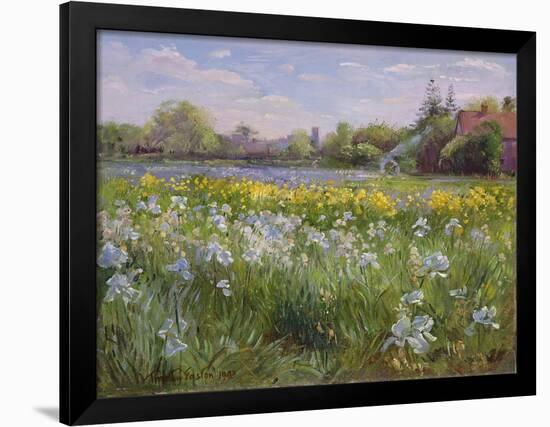 Bonfire and Iris Field, 1993-Timothy Easton-Framed Giclee Print