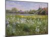 Bonfire and Iris Field, 1993-Timothy Easton-Mounted Giclee Print