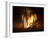 Bonfire on Beach, Punta Islita, Nicoya Pennisula, Pacific Coast, Costa Rica, Central America-R H Productions-Framed Photographic Print