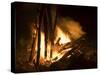 Bonfire on Beach, Punta Islita, Nicoya Pennisula, Pacific Coast, Costa Rica, Central America-R H Productions-Stretched Canvas