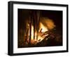 Bonfire on Beach, Punta Islita, Nicoya Pennisula, Pacific Coast, Costa Rica, Central America-R H Productions-Framed Photographic Print