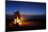 Bonfire on the Beach - Lantern Press Photography-Lantern Press-Mounted Photographic Print