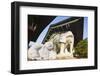 Bongeun-Sa Temple, Seoul, South Korea, Asia-Christian-Framed Photographic Print