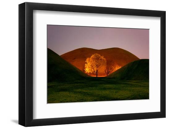 Premium Photographic Print, , large
