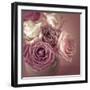 Bonica Rosa-Assaf Frank-Framed Giclee Print