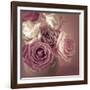 Bonica Rosa-Assaf Frank-Framed Giclee Print