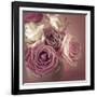 Bonica Rosa-Assaf Frank-Framed Giclee Print